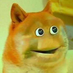 Meet your Posher, Gacha